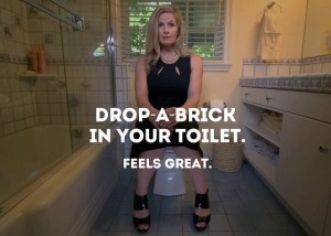 drop-a-brick-toilet
